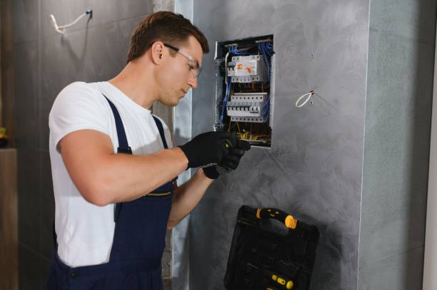 Best Electrical Upgrades for Homes  in De Witt, NY